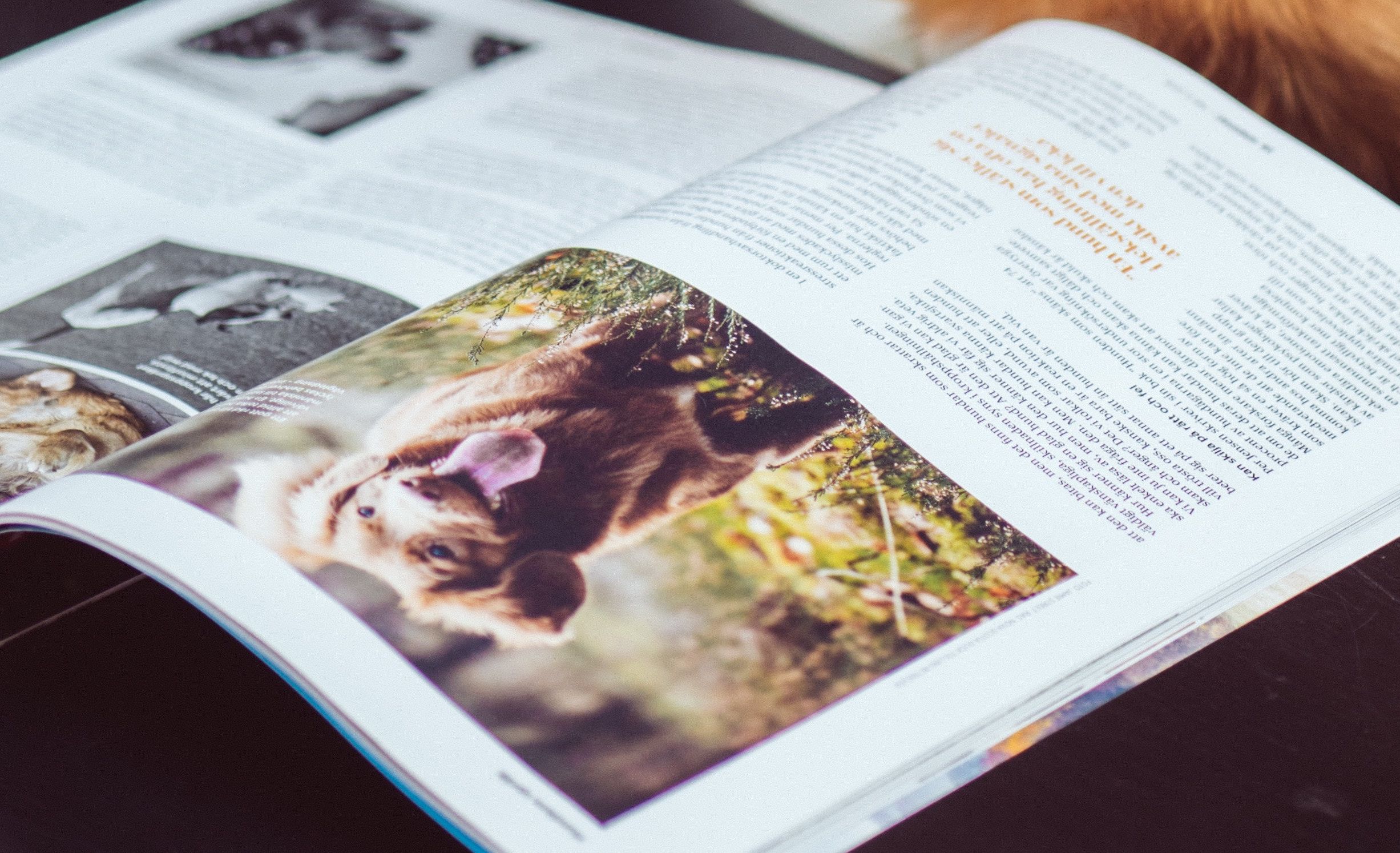 Many magazine layouts still can't be expressed in pure HTML and CSS